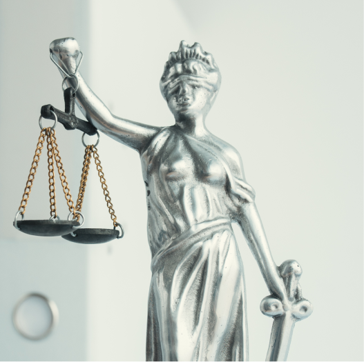 Legal Insight - Lady Justice